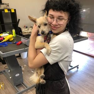 Meet your Posher, Vanessa